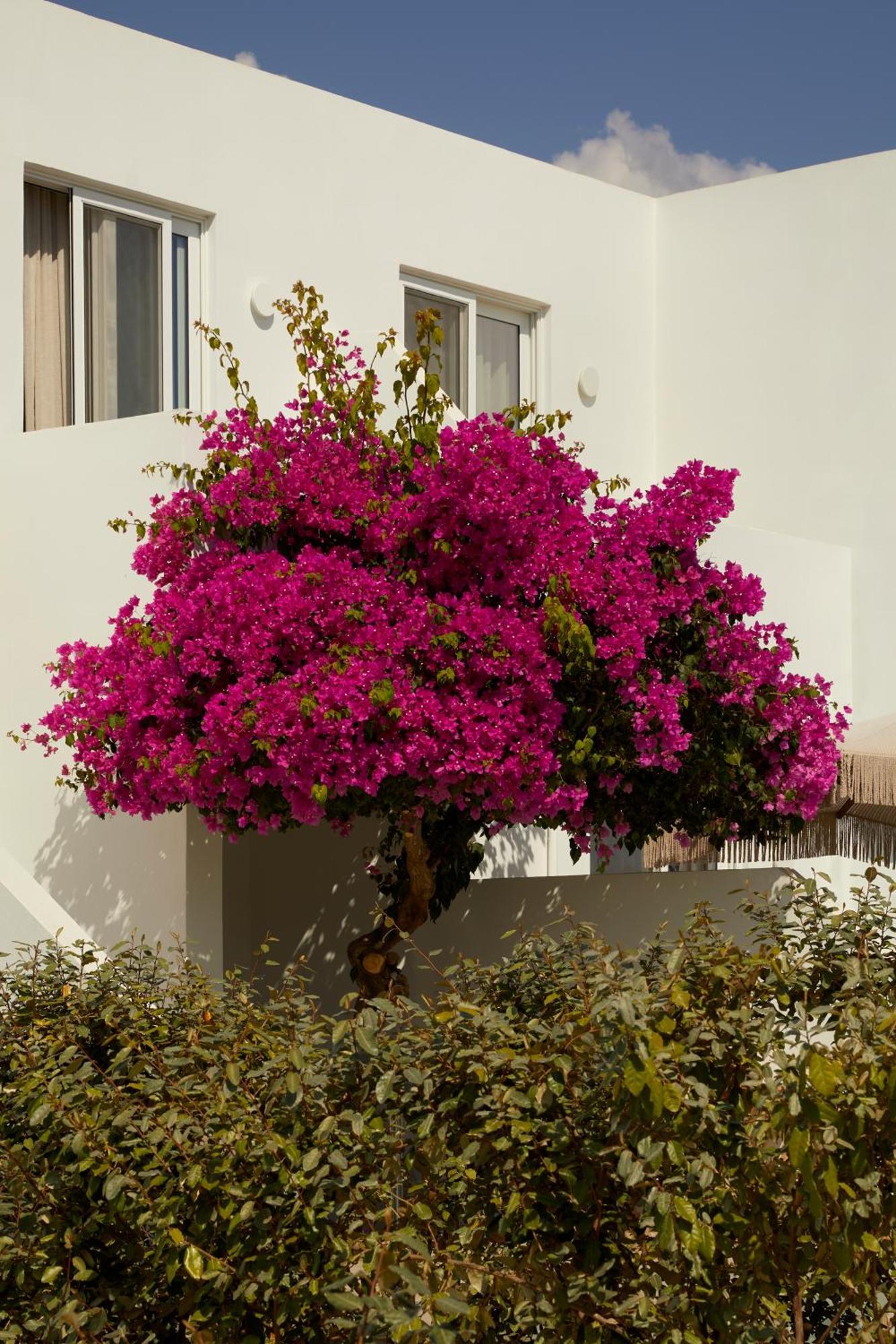 Absolute Kiotari Resort Asklipiion Esterno foto